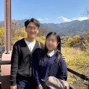 평촌교 | 구례 산수유 꽃축제 총정리, 사랑공원 주말 후기ㅣ무료주차정보, 꿀팁, 포토 스팟 위치, 기간