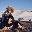 프라임 도그 이미지