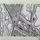 펜 드로잉 이미지