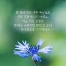 금덩이네
