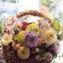 Flower늘봄