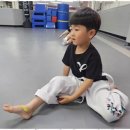 참사랑태권도 이미지