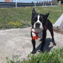 삼주주유소 이미지