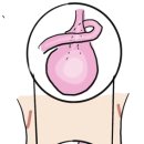 정동물병원 이미지