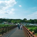 경천섬 주차장 공중화장실 네이버블로그