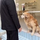 무병짱수