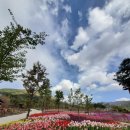 지리산생태체험단지 이미지