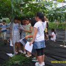 부용초등학교 이미지