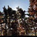 지안마트 | 부산 전포 에어비앤비 스테이지안 내돈내산 후기