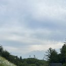 (주)성진오토파크 | [거창 산림 레포츠파크 오토캠핑장] 1번 사이트 후기