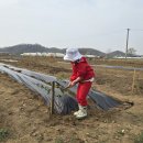 성화2농장 이미지