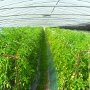 흙사랑농장 이미지