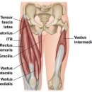 더봄의원 이미지