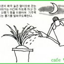 한국춘란의 칠월(7월)달 배양관리/반과현상과 단상(월계난646) 이미지