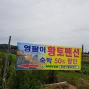 영팔이펜션3 이미지