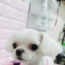 프리펫시티 이미지