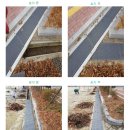 쌍치초등학교