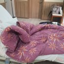 파티마산부인과의원 | 대구 시지파티마여성병원 | 자연분만 두아이 연년생의 자세한 출산 후기 (2023, 2024)