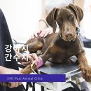 마이펫종합동물병원 이미지