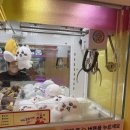 캐칭덕 PRIZE SHOP(둔촌동역점) | 당산역 인형뽑기 &#34;캐칭덕&#34; 추천 (가격 및 집게 힘)