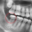 경대본치과의원 이미지