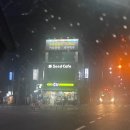 홀시드카페 - 666874 | 홀시드카페