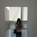 연세셀즈의원 | 교대역피부과 바디주사 D셀(디셀)주사+종아리보톡스 리얼후기