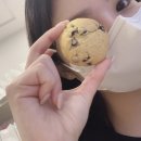 조동탑평2길 22(동량면) | 뭐야, 내 23년도 돌려줘요.