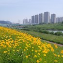 하늘농장5 이미지