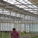 부영농원 이미지