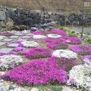 돌다리집 네이버블로그