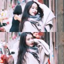 CeCi 카카오 검색결과