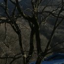 파아란지붕 이미지