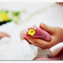 테마공원 화장실 이미지