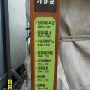 기장체육관 이미지