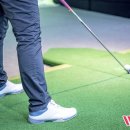 더블유스크린골프 이미지