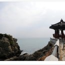 죽도공원 티스토리