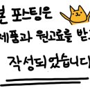 손모터스 이미지