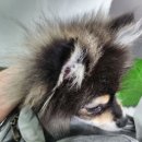 장수동물의료원 이미지