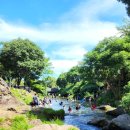 솜반내(솜반천) | 서귀포 솜반천 물놀이 후기｜아이랑 갈만한 여름 명소 추천!