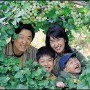 박찬석농장 이미지