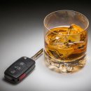 제50카센타 이미지