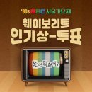 놀면 뭐하니? 인기상 투표 한대요. 이미지