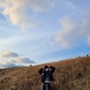 고븐달 제주 이미지