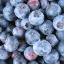 수곡농장 이미지