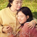 청춘극장(그것만이내세상) 이미지