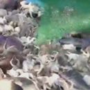 오포리농장 이미지