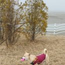 서래포구마을 이미지