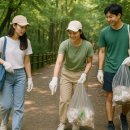 🌳 서울 숲길 플로깅 – 건강과 환경, 감성까지 챙기는 산책 코스
