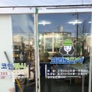크린토피아코인워시파주